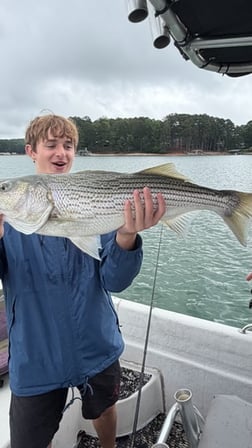 Fishing in Cumming, Georgia