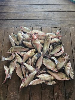 Fishing in Kingston, Oklahoma