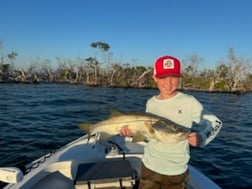 Fishing in Saint James City, Florida