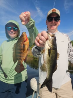 Hunting in Fort Lauderdale, Florida