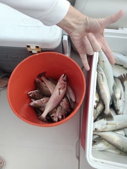 Fishing in Clearwater, Florida