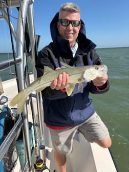 Fishing in Bokeelia, Florida