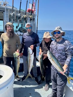 Fishing in Marina del Rey, California