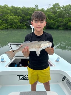 Fishing in Fort Myers Beach, Florida