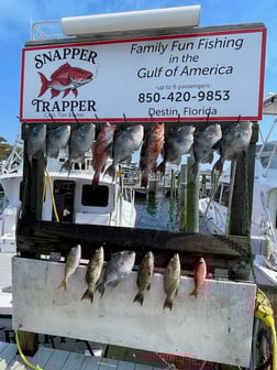 Fishing in Destin, Florida