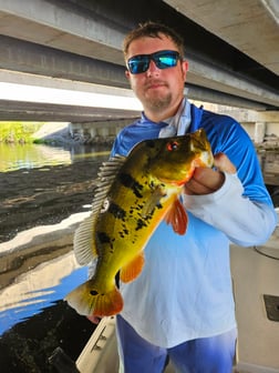 Fishing in Delray Beach, Florida