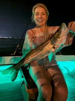 Fishing in St. Petersburg, Florida