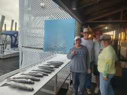 Fishing in Hernando, Florida