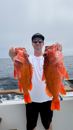 Fishing in San Diego, California