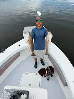 Fishing in Matlacha, Florida