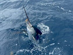 Fishing in Pompano Beach, Florida