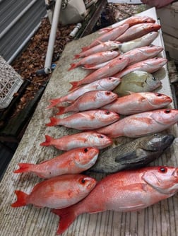 Fishing in St. Marys, Georgia