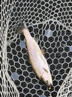Fishing in Heber Springs, Arkansas