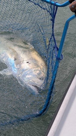 Fishing in Stuart, Florida