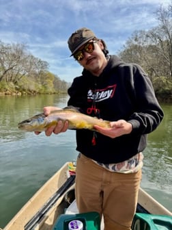 Fishing in Roswell, Georgia