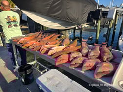 Fishing in Gulfport, Florida