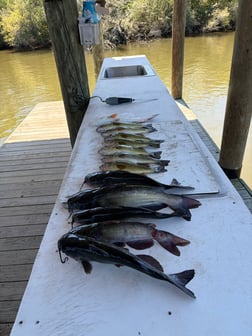 Fishing in Saint Bernard, Louisiana