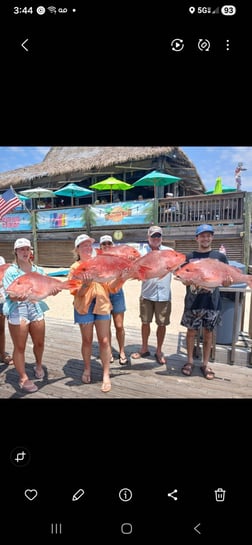 Fishing in Orange Beach, Alabama
