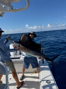 Fishing in Jupiter, Florida