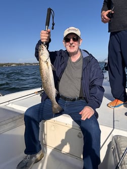 Fishing in Orange Beach, Alabama