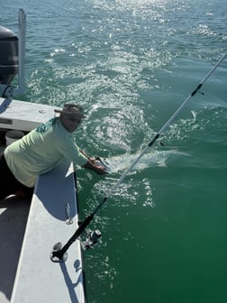 Fishing in Holmes Beach, Florida