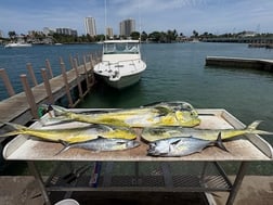Fishing in Riviera Beach, Florida