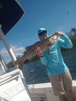 Fishing in Port Charlotte, Florida