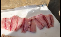 Fishing in Port Orange, Florida