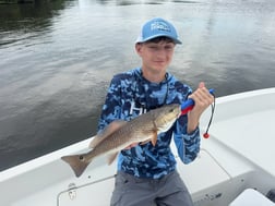 Fishing in St. Petersburg, Florida