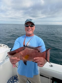 Fishing in Sarasota, Florida