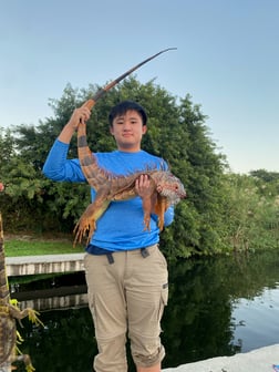 Hunting in Fort Lauderdale, Florida