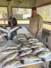 Fishing in Dardanelle, Arkansas