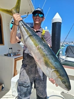Fishing in Dana Point, California