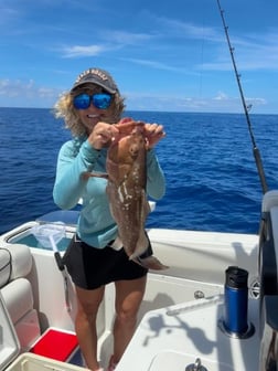 Fishing in Sarasota, Florida