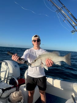 Fishing in Islamorada, Florida