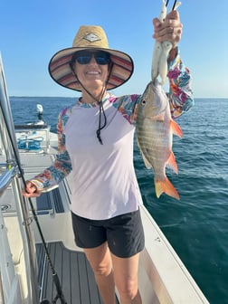 Mangrove Snapper, Speckled Trout Fishing in Key Largo, Florida