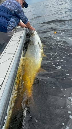 Fishing in Punta Gorda, Florida
