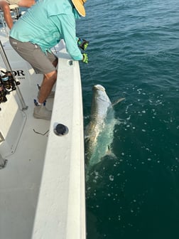 Fishing in Port Charlotte, Florida