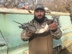 Hunting in Rising Star, Texas