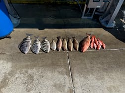 Fishing in Destin, Florida