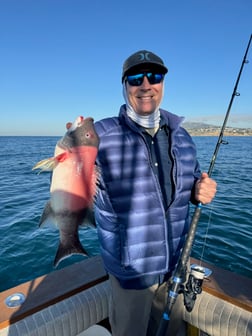 Fishing in Los Angeles, California