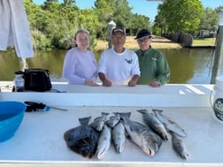 Fishing in Bay St. Louis, Mississippi
