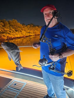 Fishing in Tampa, Florida