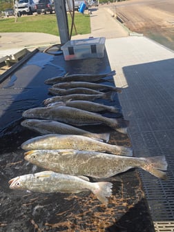 Fishing in Galveston, Texas