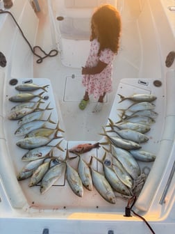 Fishing in Key Largo, Florida