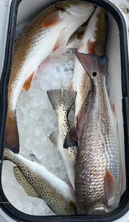 Fishing in South Padre Island, Texas