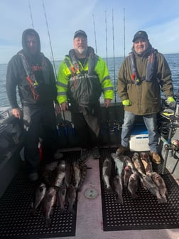 Fishing in Garibaldi, Oregon