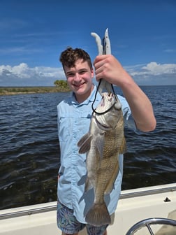 Fishing in Crawfordville, Florida