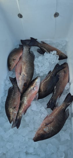 Fishing in Vero Beach, Florida