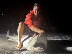 Fishing in Cape Coral, Florida